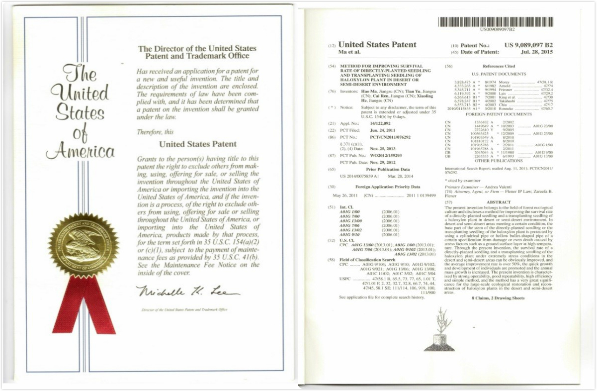 申请美国专利申请书怎么写_美国专利申请撰写及审查处理策略
